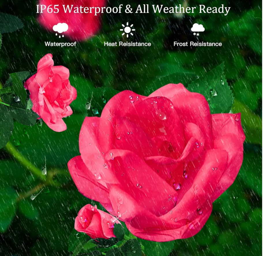 🌹✨ SOLARNE ROSE LED LAMPE (2 KOM) – ROMANTIČNO DVORIŠTE BEZ STRUJE!