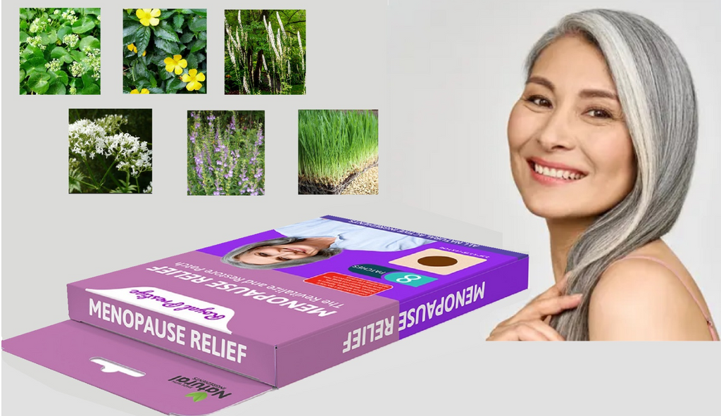 24 BILJNA FLASTERA ZA ŽENE U MENOPAUZI I PERIMENOPAUZI! 💜