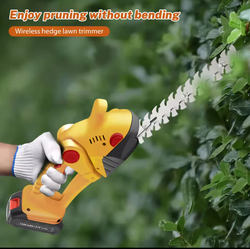 Aku Makaze za Živicu