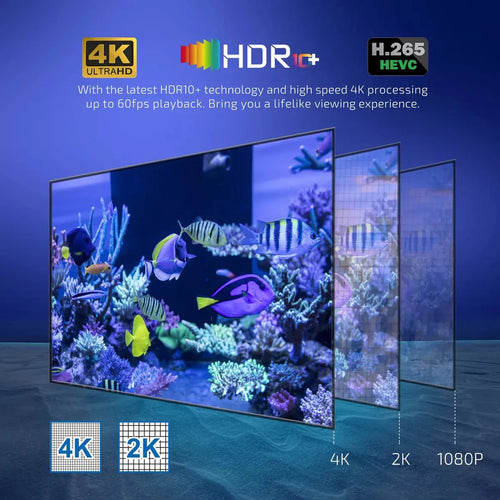 Android TV Box 8GB + 128GB