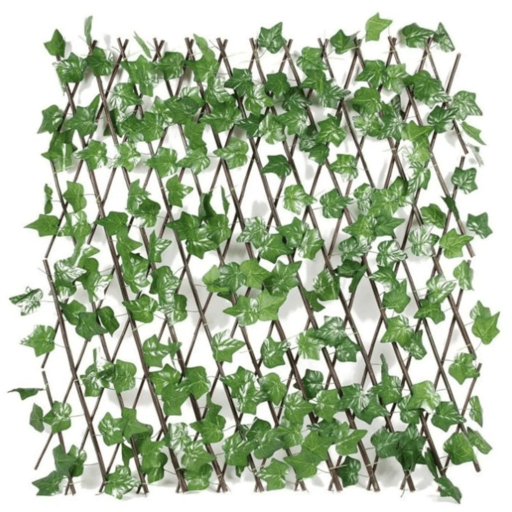 Elegantna proširiva rešetka Bršljan za vaš prostor (1.2m x 2m)