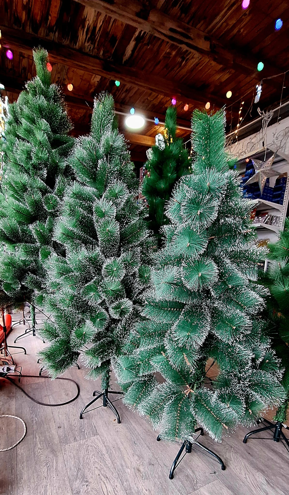 Sniježni Bor za Praznike – Čarobna Zimska Atmosfera u Vašem Domu