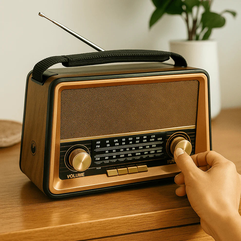 RX-BT1006 Prenosni Bluetooth Radio