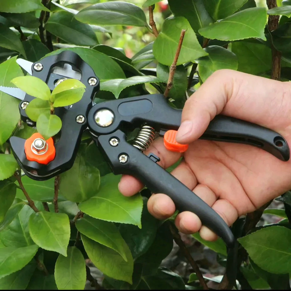 Škare za orezivanje i cijepljenje